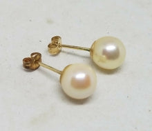 14k Yellow Gold JCM (Jacmel) 6.4mm Cultured Freshwater Pearl Stud Earrings