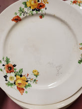 Vintage 14pc Homer Laughlin Orange/Yellow Flowers D36 N8 Luncheon Plates