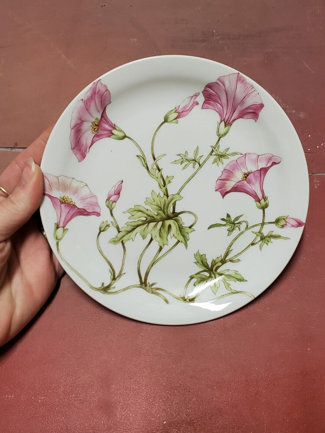Vintage Pillivuyt Porcelain Pink Morning Glory Floral Dessert Plate