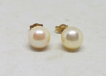 14k Yellow Gold JCM (Jacmel) 6.4mm Cultured Freshwater Pearl Stud Earrings