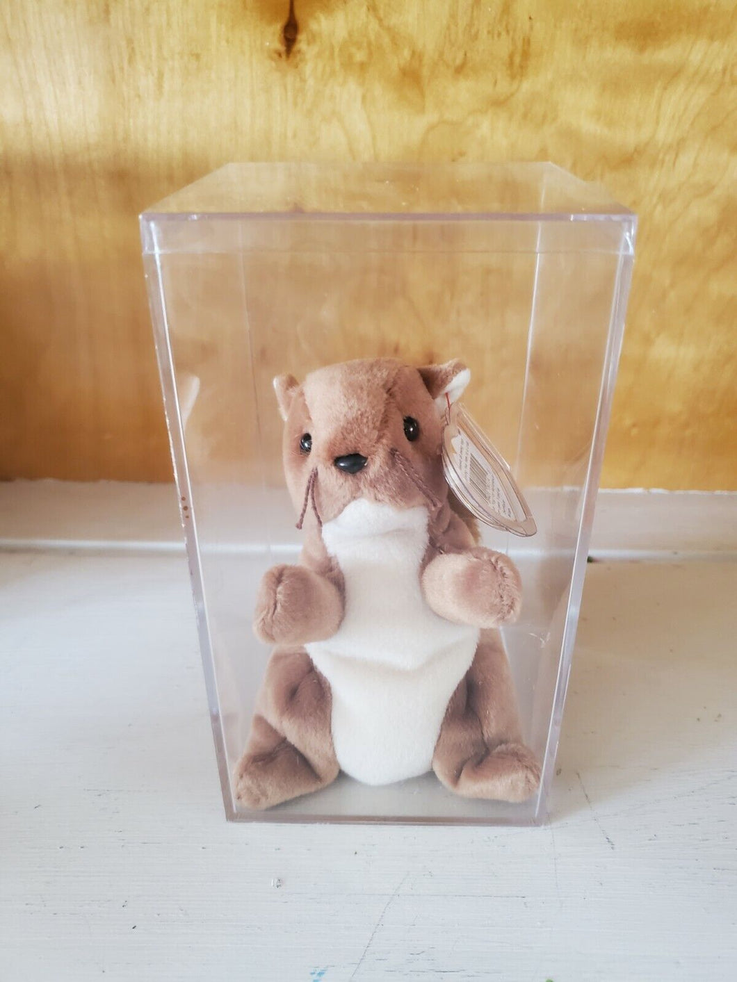Vintage 1996 Ty Beanie Babies Nuts Squirrel With Tag Errors In Clear Case