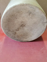 Antique White Stoneware 1 Gallon Crock Planter