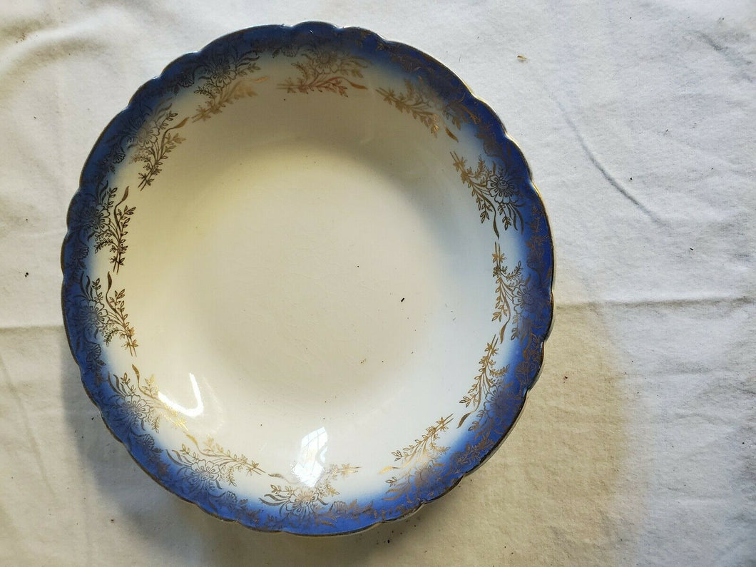 Vintage Royal China 22k Gold Trim Warranted Sebring Ohio Blue Rim Dinner Plate