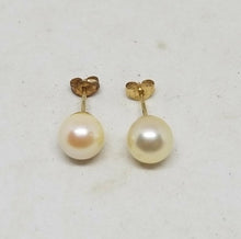 14k Yellow Gold JCM (Jacmel) 6.4mm Cultured Freshwater Pearl Stud Earrings