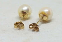 14k Yellow Gold JCM (Jacmel) 6.4mm Cultured Freshwater Pearl Stud Earrings